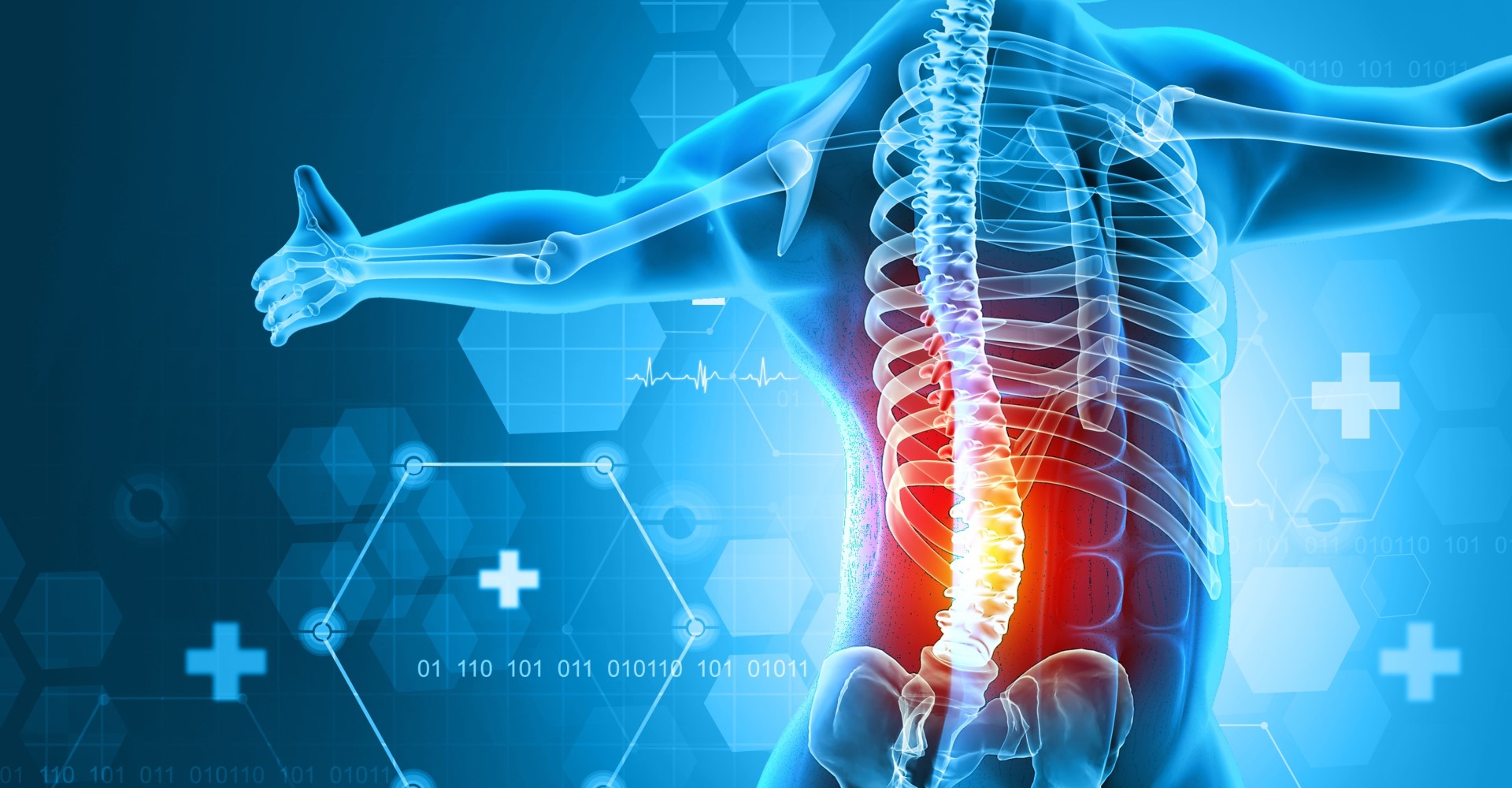 Ein stilisiertes Schaubild des menschlichen OberKörpers, welches die Wirbelsäule zeigt